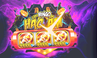 BINGO HẮC ÁM 29K